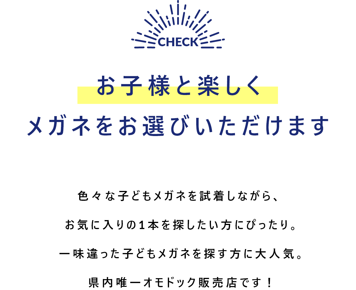 動画セクションの説明
