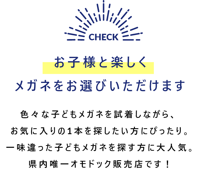 動画セクションの説明